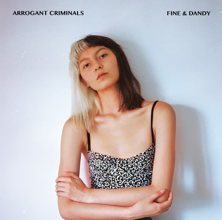 Pochette de l'album Fine & Dandy